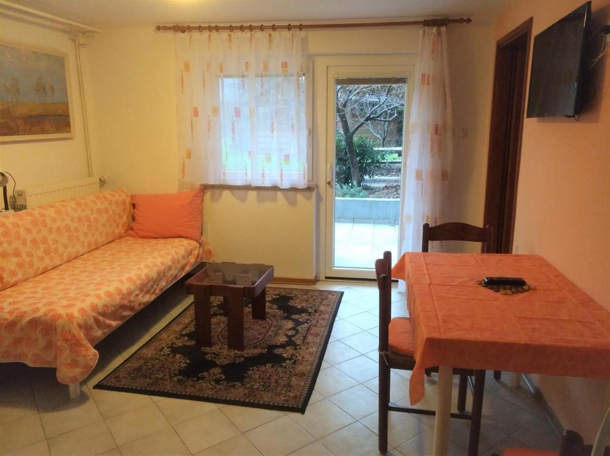 Apartma Gorjan トールミン エクステリア 写真