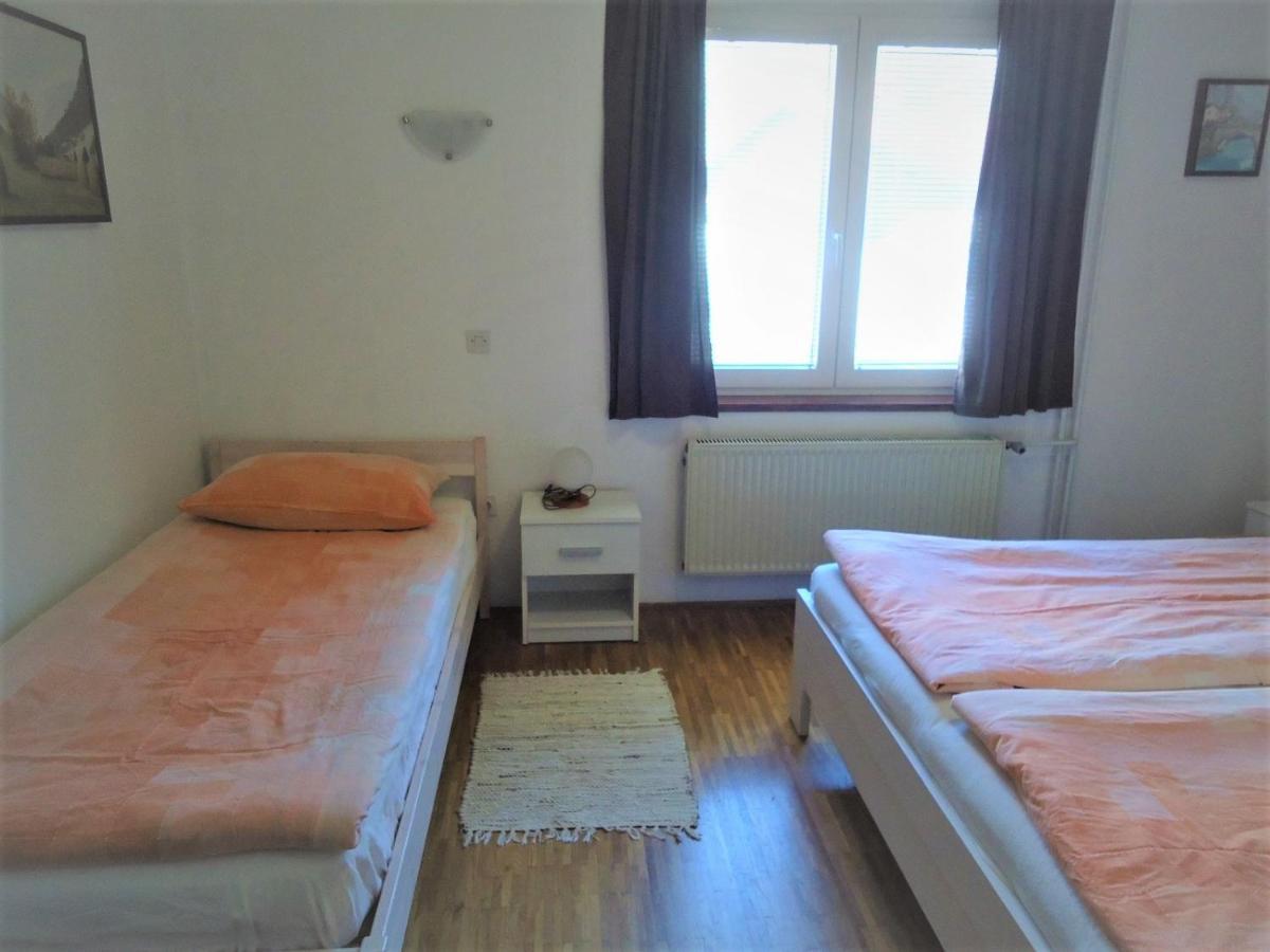 Apartma Gorjan トールミン エクステリア 写真